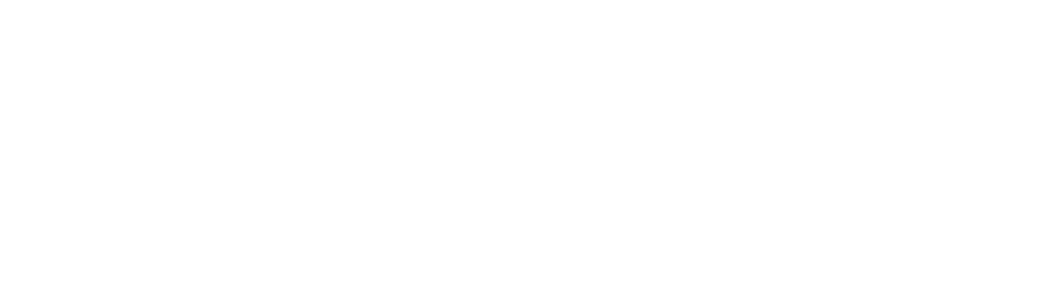 logo LifeStick